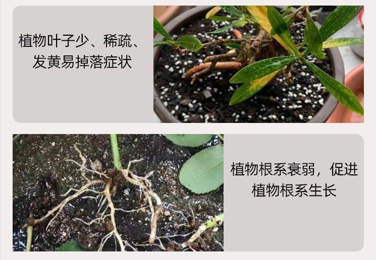 微信图片_20250322170344.jpg