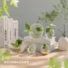 Jarrón de micro paisajismo de vidrio de borosilicato alto con boca inclinada, botella ecológica para suculentas, recipiente para paisajismo con musgo DIY, venta al por mayor transfronteriza