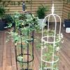 Soporte para flores trepadoras en forma de U de 8 mm, sencillo y de Amazon Source, para exteriores, color blanco