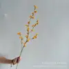 Vinha de Serpente do Sul Artificial Europeia e Americana Galhos com Frutas Vermelhas Frutas de Outono Azevinho Norte-Americano Frutas Vermelhas Feijões de Acácia Floral para Casamento Decoração de Ano Novo