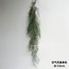 Plantas Verdes Penduradas na Parede Planta-Aranha Flores Artificiais Plantas Verdes Pendentes Samambaias Tubos de Parede Decoração de Teto Folhas de Samambaia Cipós