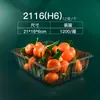 Cajas desechables para sushi, recipientes rectangulares para alimentos, loncheras transparentes, cajas de empaque para rollos de comida y fruta/verdura y carne, cajas para frutas