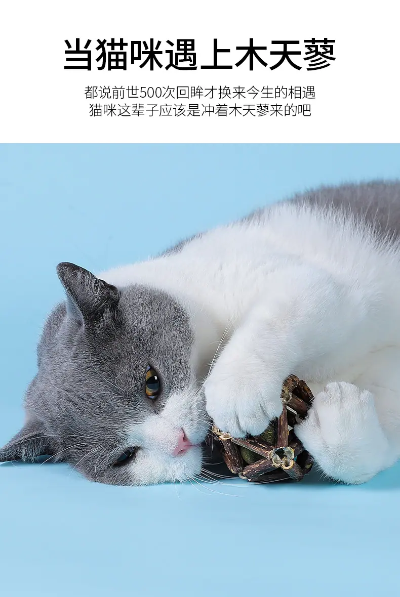 详情-06.jpg