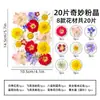 Marcador de Flores Secas Espécimen Película de Sellado de Plástico Colección Primavera en una Botella Kit de Materiales Hechos a Mano DIY Regalo Pegatinas Transparentes