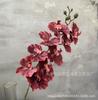 9 Phalaenopsis estilo europeo para sala de estar, hogar, adornos florales, decoración, boda, flores suaves, accesorios de fotografía, flores de simulación.