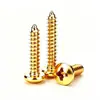 Tornillos Pequeños Autoperforantes de Cabeza Redonda Cruzada de Acero Inoxidable 304 Dorado Tornillos Autoperforantes de Cabeza Panorámica Extendidos M3M4M5M6 Oro Imitación