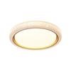 Luz Principal de Sala de Estar Minimalista Moderna 2026 Nuevo Modelo Lámpara de Techo Luz para Dormitorio Principal Luz de Habitación de Lujo Ligero Accesorios de Iluminación Zhongshan 357L