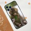 Capa de celular adequada para iPhone 15, limpa, fofa, macaquinho, natureza