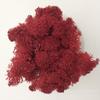 10g Musgo Artesanal Imortalizado de Grau A Pacote de Material DIY Acessórios para Micro Paisagemprimelo