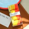 Accesorios para Niños Anillos Elásticos para el Cabello en Caja Gomas Elásticas para Niña Anillos de Toalla sin Pelo para Bebé Cuerda para el Cabello de Niña Cuerda para la Cabeza