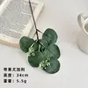 Eucalipto artificial com folha de dinheiro de fruta folha de maçã decoração DIY planta artificial atacado de fábrica Amazon transfronteiriço