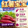 Fertilizante Foliar para Camote para Bebés con Calcio y Magnesio para el Agrietamiento de Frutos y Frutos Deformes, Fertilizante Soluble en Agua con Elementos Medios para Raíces Subterráneas y Tubérculos de Camote