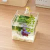 Caixa de Criação Transparente de Plástico para Plantas Verdes de Mesa Mini Tipo para Escritório Aquário Ecológico Peixes Ornamentais Recipiente para Cultivo Doméstico