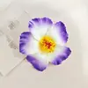 Acessório de Cabelo Flor de Hasang 10cm Transfronteiriço Grampo de Cabelo Flor Havaiana Flor de Ovo para Viagem de Férias Flor de Casamento Feminina