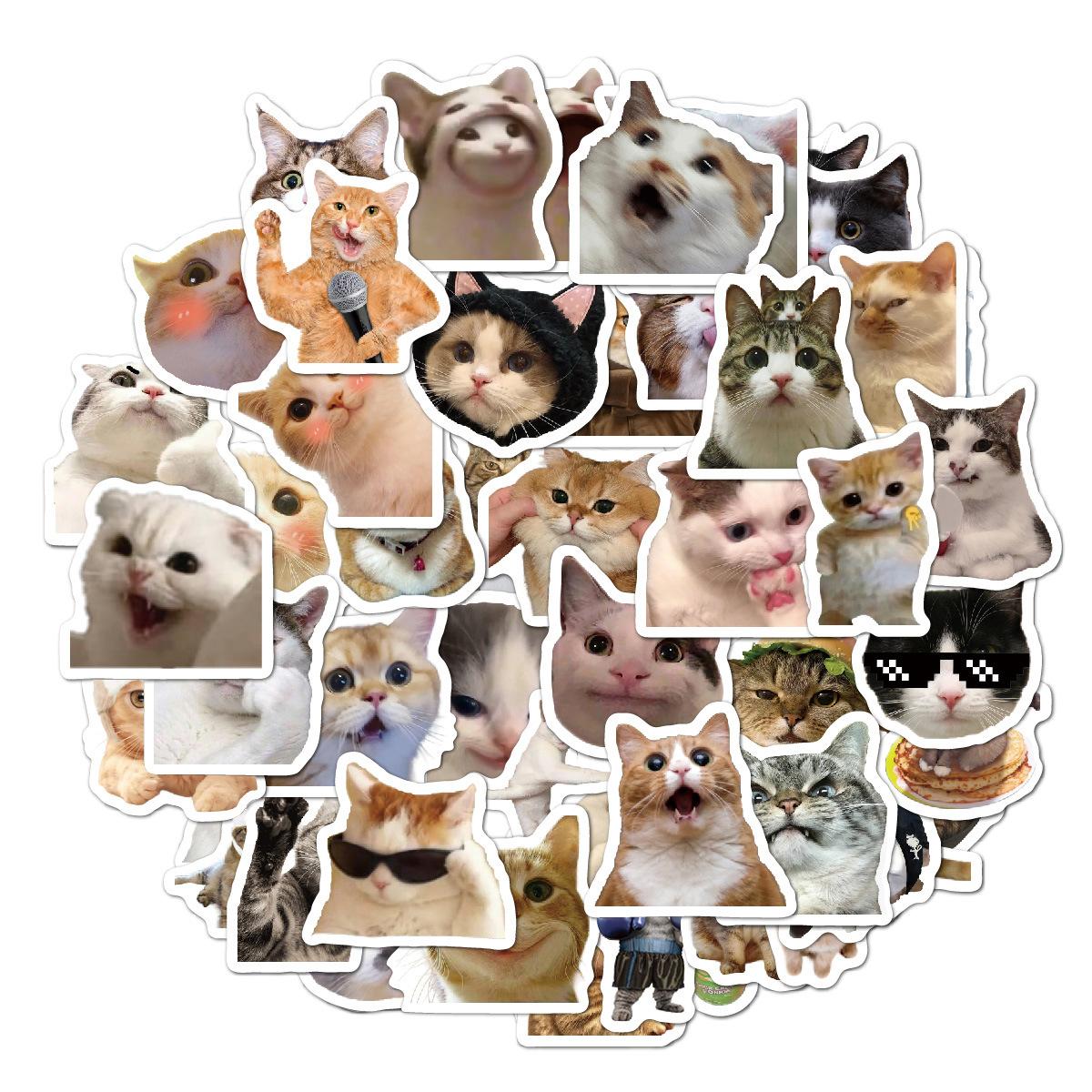 20230904-猫猫表情包贴纸效果图-02修改