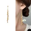 Design de Nicho Levemente Luxuoso, Corrente Exquisita de Zircônia, Brincos Longos com Franjas, Brincos Elegantes, Estilosos e Versáteis em Forma de Gota d'Água