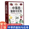 Identificação e Aplicação de Medicamentos Fitoterápicos Chineses. Conhecimento Fitoterápico Que Pode Ser Usado Para Proteger a Saúde de Toda a Família