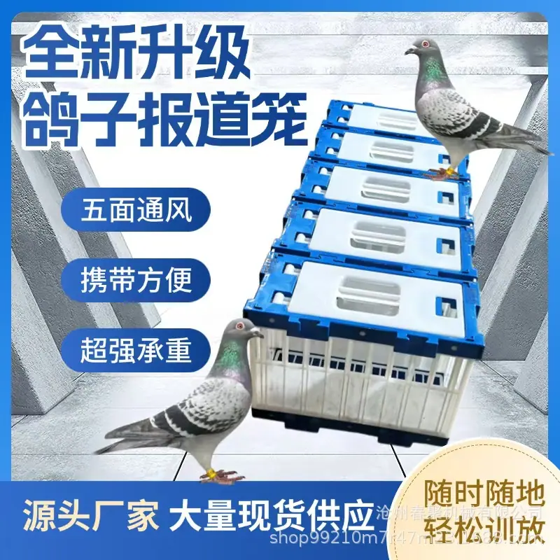微信图片_202503121359253.jpg