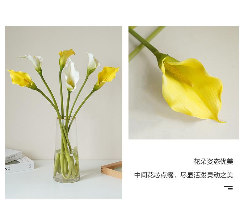 小号网纹马蹄莲_03.jpg