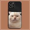 Gato fofo engraçado para capa de celular iPhone 13 desenho animado Apple 14promax capa protetora 11 capa macia totalmente inclusiva