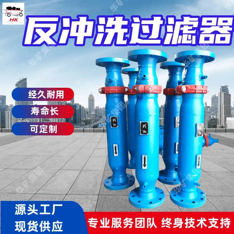 反冲洗过滤器 (2)_副本