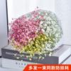 Yunnan Kunming Dounan Céu Estrelado flores secas naturais pesando Jin vendendo buquê grande de sala de estar fresca para decoração de casa frete grátis