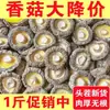 Recién llegado: Champiñones Shiitake Secos Estilo Granja 500g, Carne Gruesa, Sin Raíz, Producto Fresco, Peso Bruto No Peso Neto, Producto Especial 250g