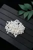 Perlas de Agua Dulce Naturales Sueltas, Casi Redondas, Brillo Fuerte, Impecables, Agujero Recto, Perlas Sueltas, Accesorios para Joyería DIY, Venta al por Mayor Directa de Fábrica