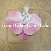 Flores de simulação combinação sapatos de verão com buracos sapatos diy flor vermelha fresca livro vermelho explosão nova Phalaenopsis puro alto