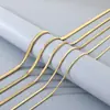 Fábrica de Dongguan Atacado Corrente de Osso de Cobra de Aço Inoxidável Colar Versátil Estilo Unissex Corrente de Cobra Plana Corrente Lisa Corrente da Clavícula