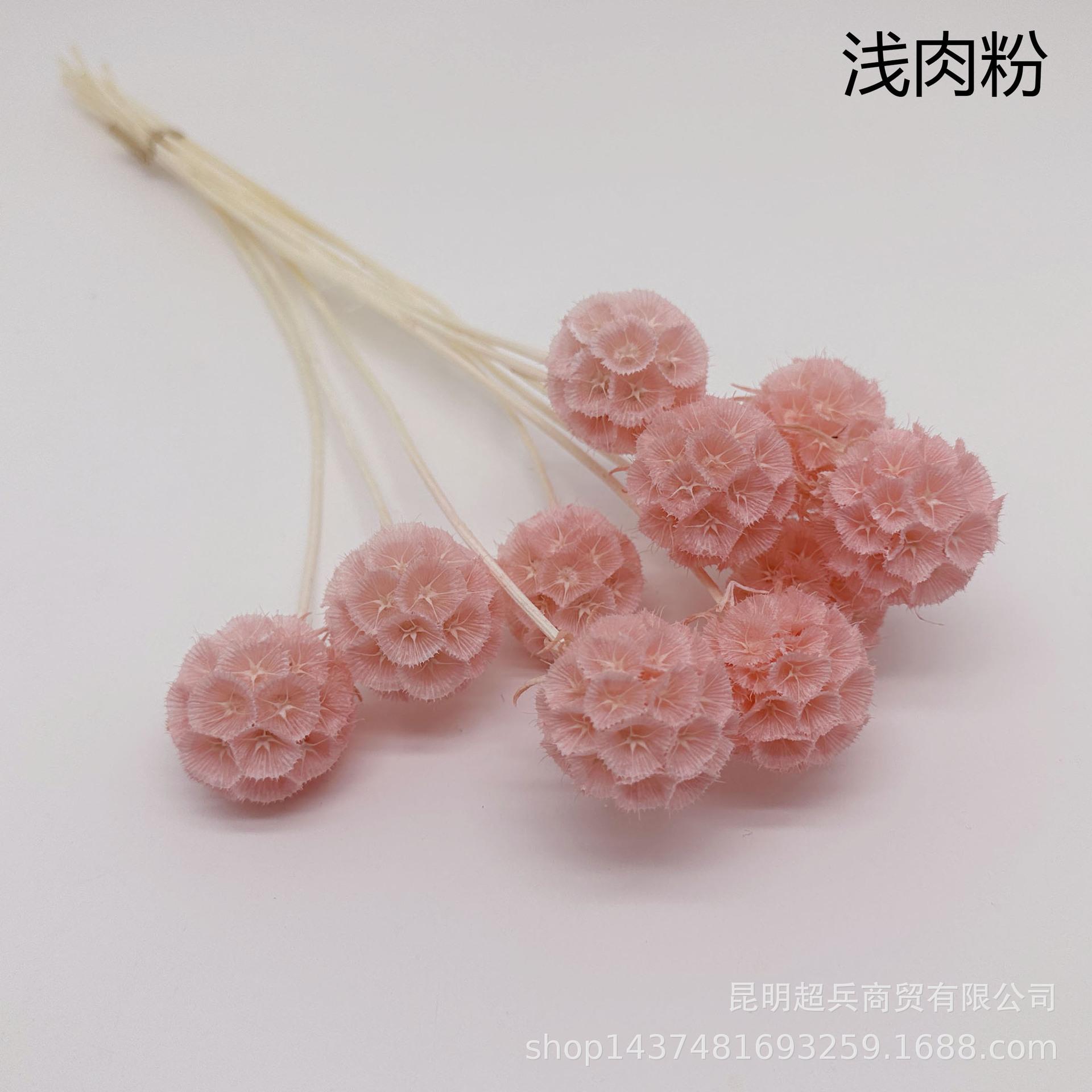 3浅肉粉.jpg