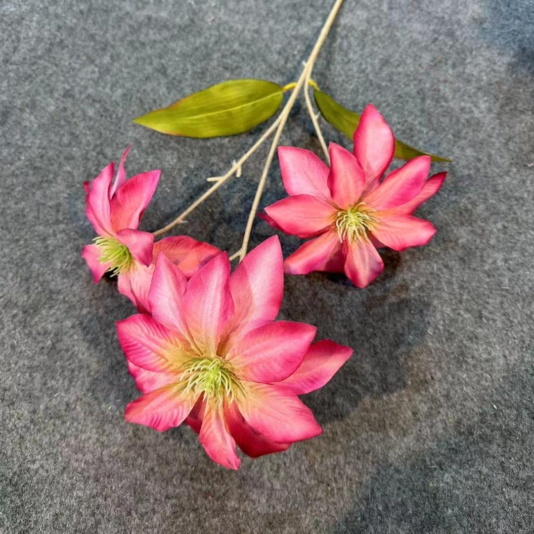 钻石莲玫红_副本