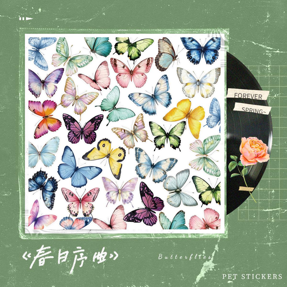 主图