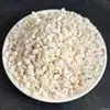 Areia Específica para Caranguejo Eremita Substrato Natural Areia de Coral Areia Filipina Areia de Concha Marinha Nativa Aquascaping Fundo de Tanque de Ciclídeos