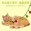 Juguete para Gatos con Cuerda de Caqui Pequeño, Palo de Juguete de Fieltro con Forma de Caqui Pequeño con Cascabel, Juguete de Autoentretenimiento para Gatos