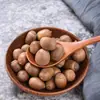 Bellotas, Nueces de Bellota, Frutos de Bellota, Robles, Bellotas, Bellotas al por Mayor Dropshipping