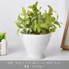 Maceta de Cerámica Blanca Simple Creativa Maceta de Porcelana Blanca Dehua Mini Suculenta Orquídea Phalaenopsis Pequeña Maceta Decorativa