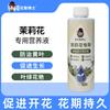 Dr. flores y plantas solución nutritiva para plantas productos genuinos planta hidropónica planta verde planta en maceta cactus carnoso anciano fertilizante doméstico