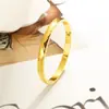 El Tesoro de la Tienda, Pulsera Popular Transfronteriza de Acero de Titanio, Colección Estilo Europeo y Americano, Lujo Ligero, Versátil y a la Moda, Precio de Fábrica, Dropshipping