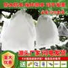 Sacolamento de Frutas, Sacos à Prova de Insetos e Pássaros para Morangos, Sacos Domésticos, Sacos para Sacolamento de Frutas de Pêssego ao Ar Livre