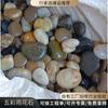 Piedras Yuhua Lote Grande Muy Rentables Guijarros para Decoración de Jardín Patio Paisajismo 2-3 cm Piedras Multicolor Pulidas Finamente