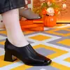 Zapatos para mujer con puntera metálica, elegante 06 nuevo estilo de otoño, cuero suave, zapatos de tacón bajo de suela blanda francesa, zapatos de tacón alto