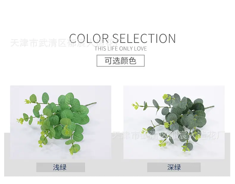 详情_02.jpg