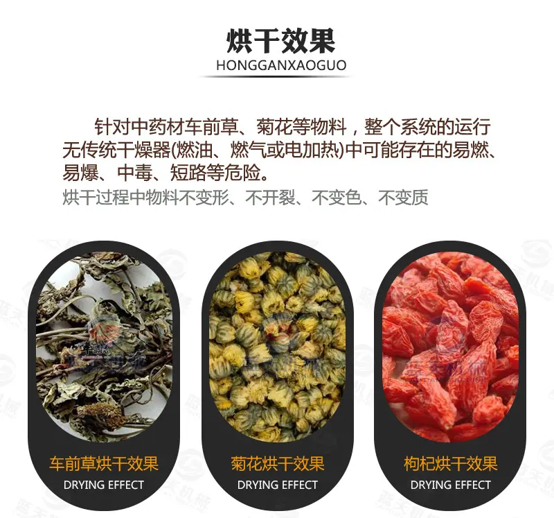车前草烘干机_13.jpg