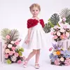 Nuevo Vestido Formal de Verano para Niñas con Bordado de Rosas, Vestido Infantil, Suministro Transfronterizo Exclusivo, Directo del Fabricante, Vestido de Fiesta