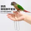 Cuerda de Liberación de Loro Ultraligera y Amigable con los Pies, Cuerda de Liberación de Cadena de Hueso de Serpiente, Cuerda de Paseo para Pájaros de Aleación, Juego de Anillo para Patas y Cadena para Tobillos para Pájaros Mascotas
