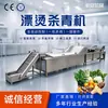 Máquina de branqueamento para cozimento de frutas e vegetais equipamento de branqueamento para cozimento de espinafre e repolho máquina de fixação de cor para chá de manga