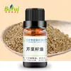 Suministro de Aceite de Semilla de Apio, Aceite Vegetal, Aceite de Semilla de Apio, Aceite de Especias y Aceite de Semilla de Apio en Stock