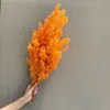 Flor Eterna Fofa Feita à Mão DIY Fazendo Material de Flor Suprimentos para Casamento Festival Layout de Cena Material de Flor Personalizado Venda por Atacado