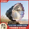 Monumentos de la Ciudad, Proyectos de Paisajismo a Gran Escala, Esculturas de Acero Inoxidable Oyster, Fabricantes Personalizados, Instalación Incluida, Venta al por Mayor de Esculturas de Acero Inoxidable